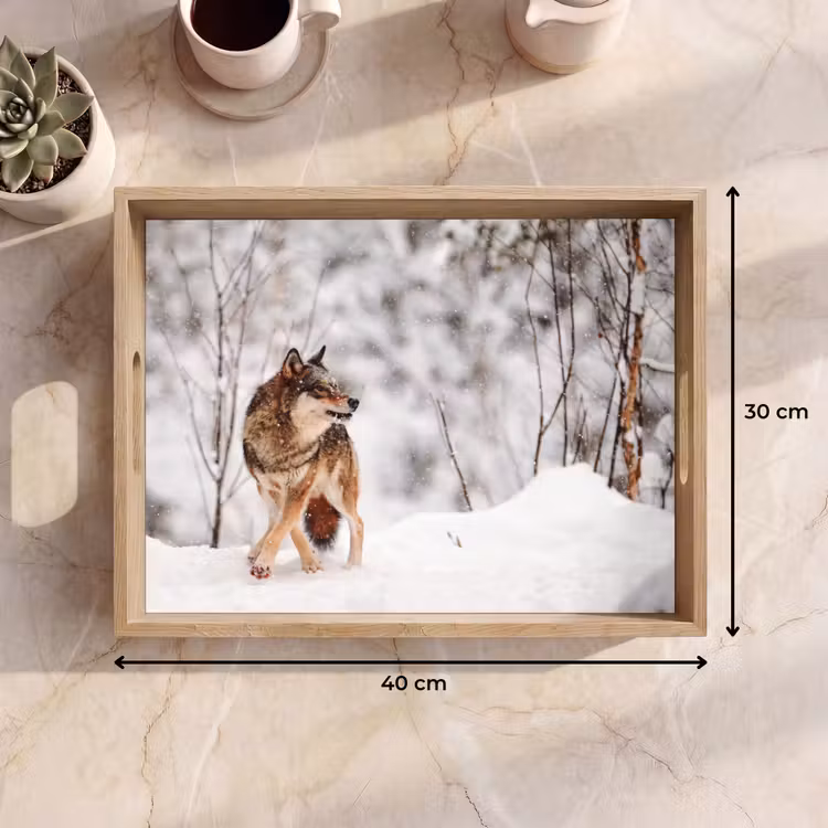 Tablett - Wolf - Winter - Schnee - Natur - Tiere — 7