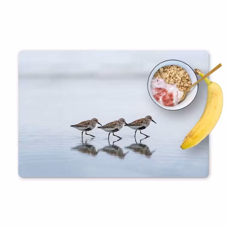 Tischset - 6 Stück - Vögel - Wasser - Grau - 6 Stück — 1