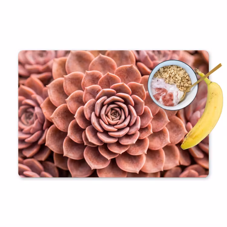 Tischset - 6 Stück - Sukkulente - Bio - Rosa - 6 Stück — 1