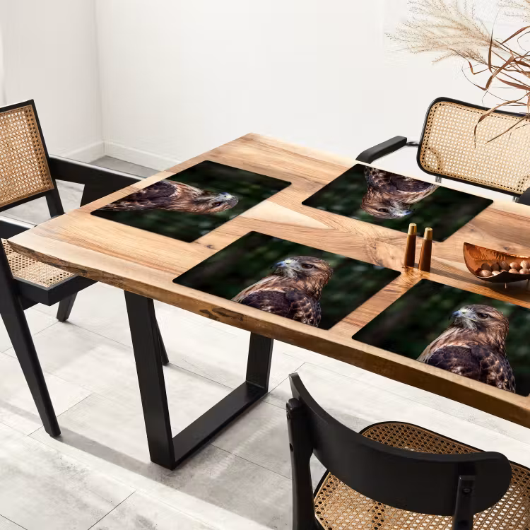 Tischset - 6 Stück - Bussard - Raubvogel - Natur - Braun - 6 Stück — 4
