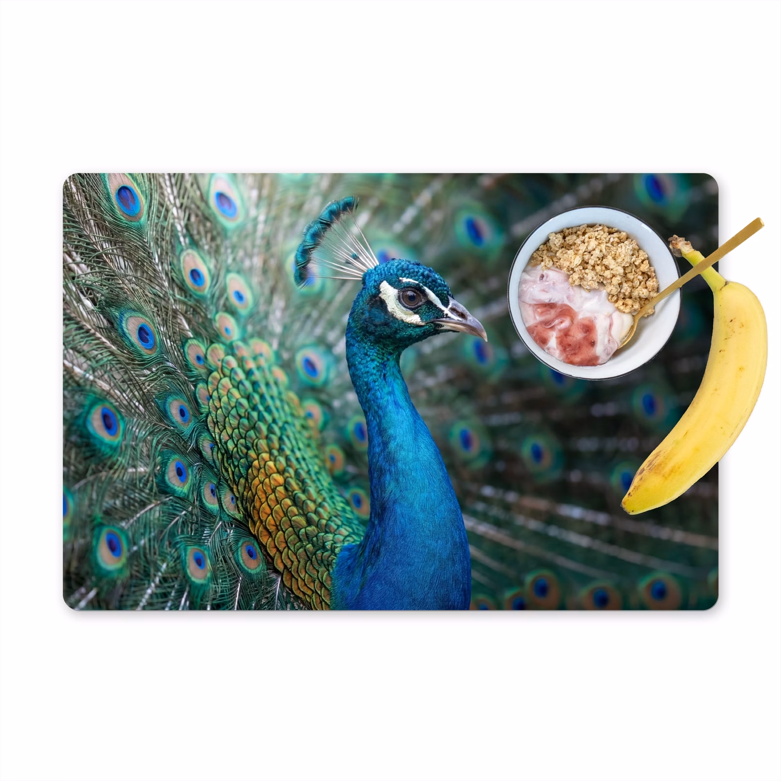 Tischset - 6 Stück - Pfau - Federn - Blau - 6 Stück — 1