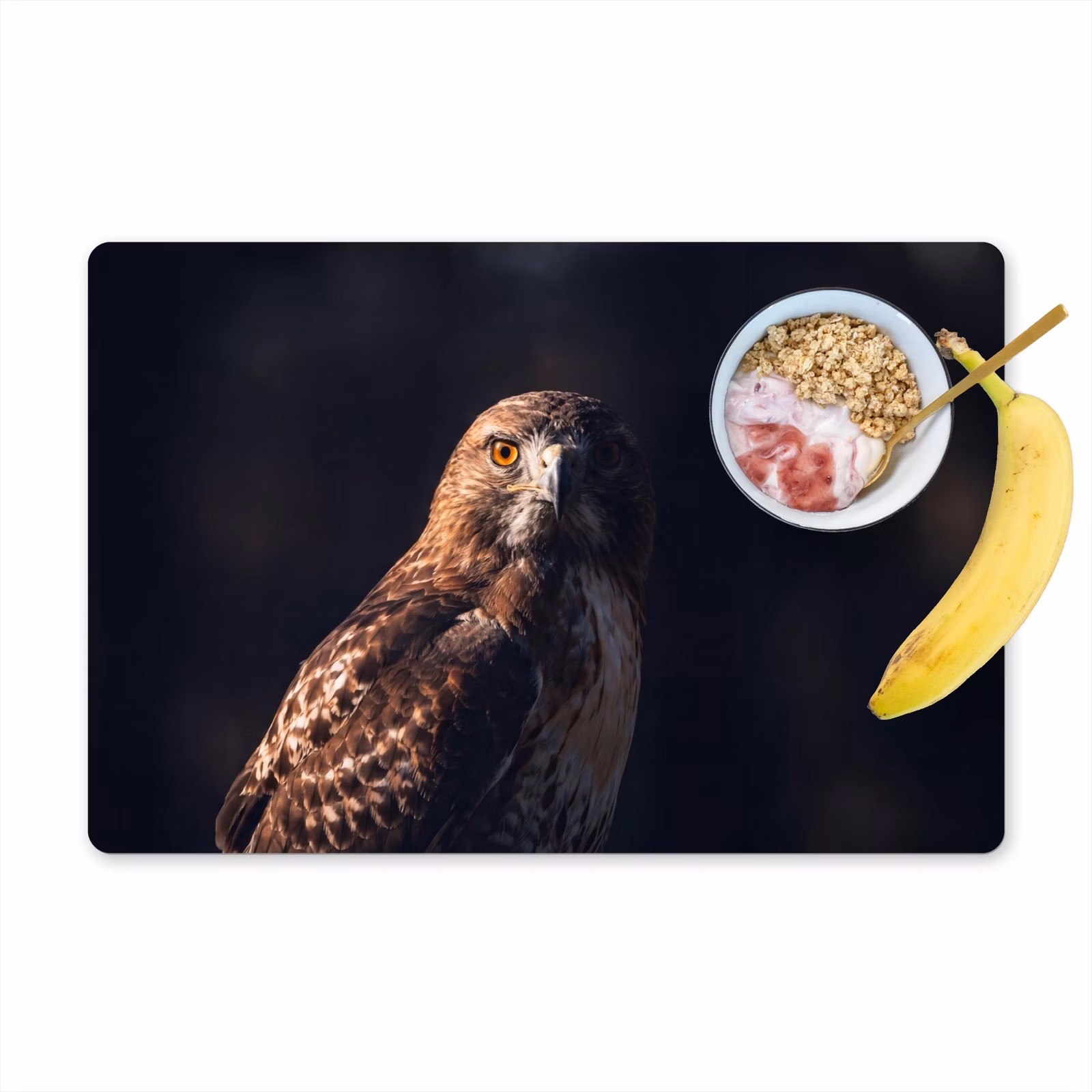 Tischset - 6 Stück - Raubvogel - Mäusebussard - Braun - 6 Stück — 1