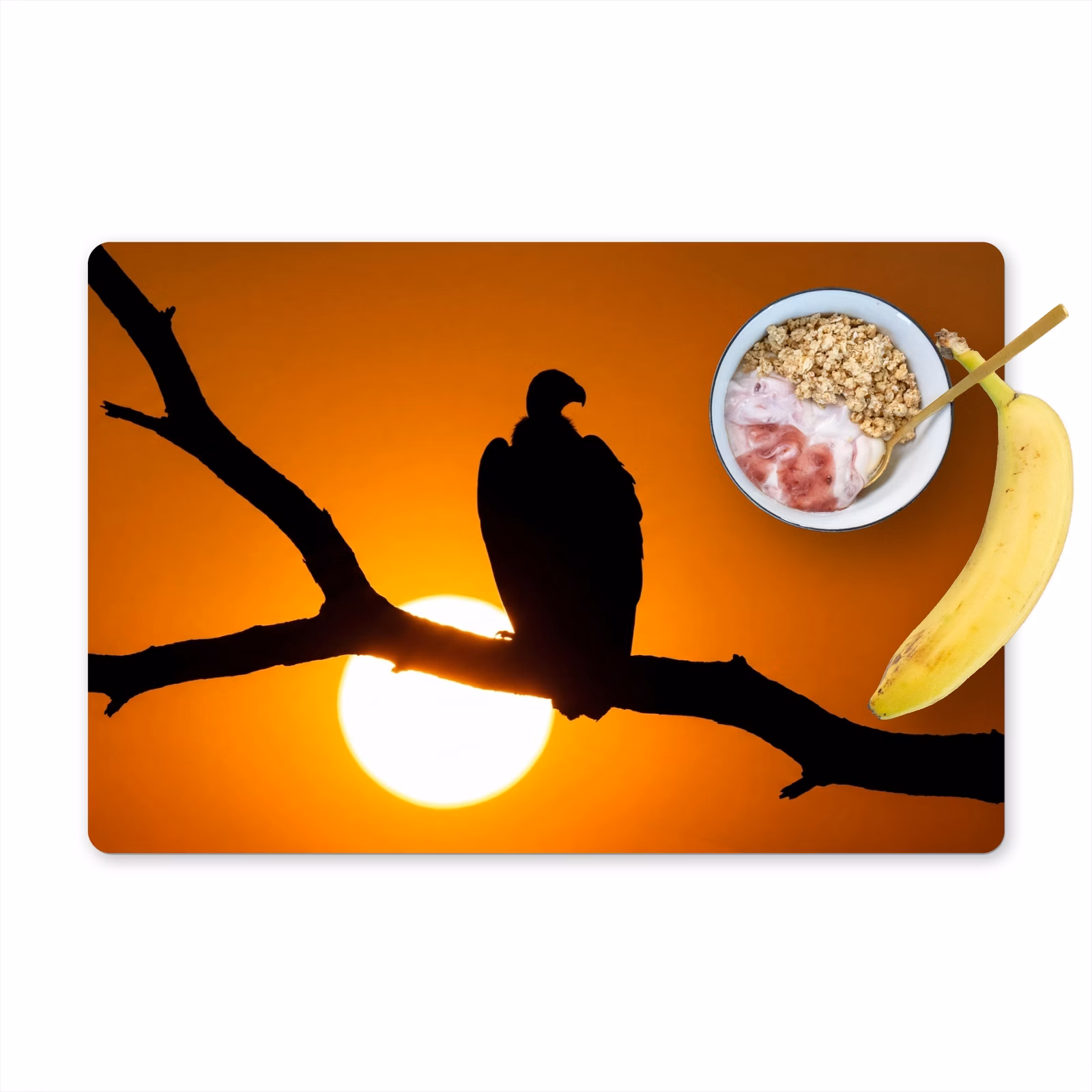 Tischset - 6 Stück - Geier - Zweig - Sonne - Orange - 6 Stück — 1
