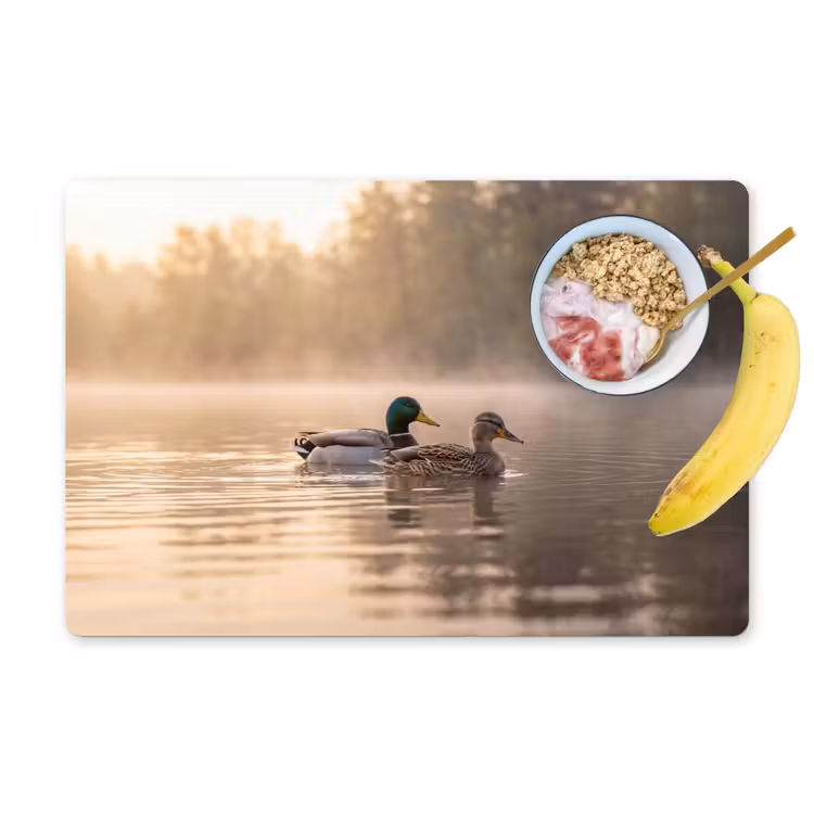Tischset - 6 Stück - Enten - Wasser - Nebel - Natur - 6 Stück — 1
