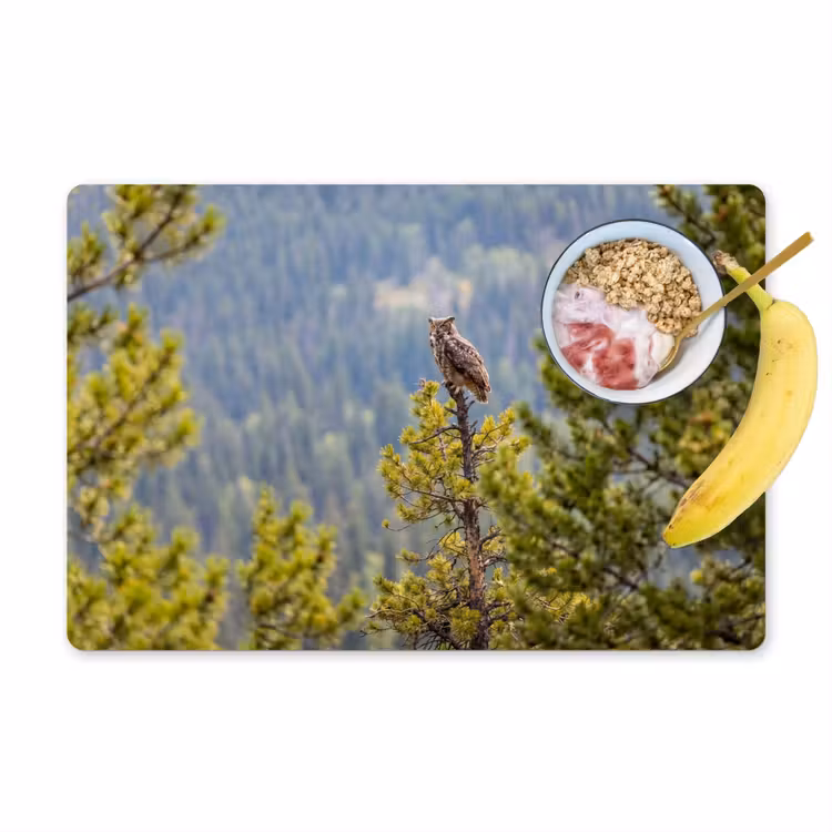 Tischset - 6 Stück - Eule - Uhu - Bäume - Natur - 6 Stück — 1