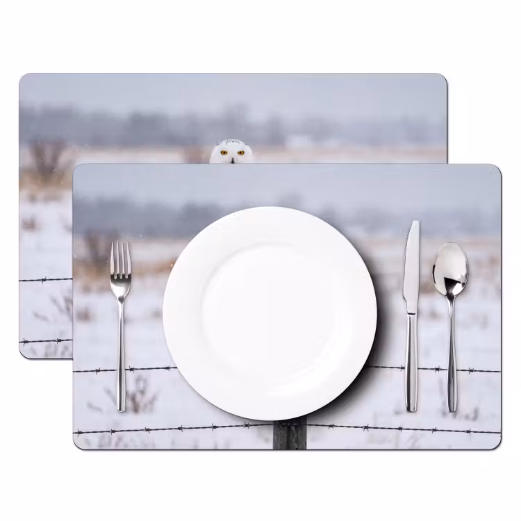 Tischset - 6 Stück - Schnee-Eule - Zaun - Schnee - Weiß - 6 Stück — 2