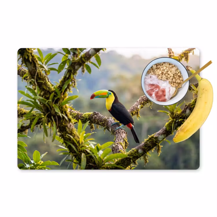 Tischset - 6 Stück - Tukan - Dschungel - Natur - Farbenfroh - 6 Stück — 1