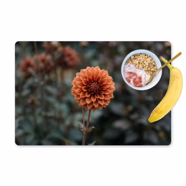 Tischset - 6 Stück - Dahlie - Blume - Natur - Atmosphärisch - 6 Stück — 1