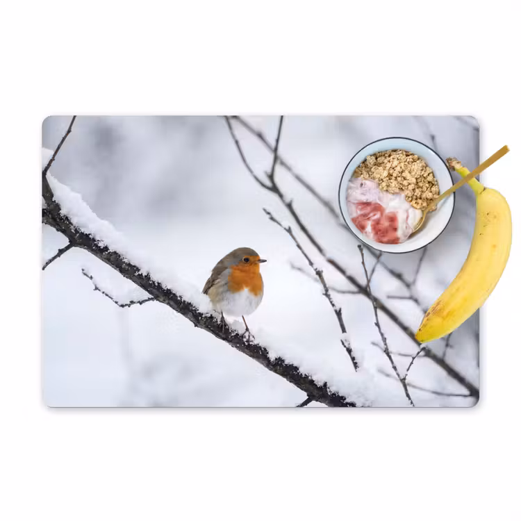 Tischset - 6 Stück - Rotkehlchen - Zweig - Schnee - Winter - Lebendig - 6 Stück — 1