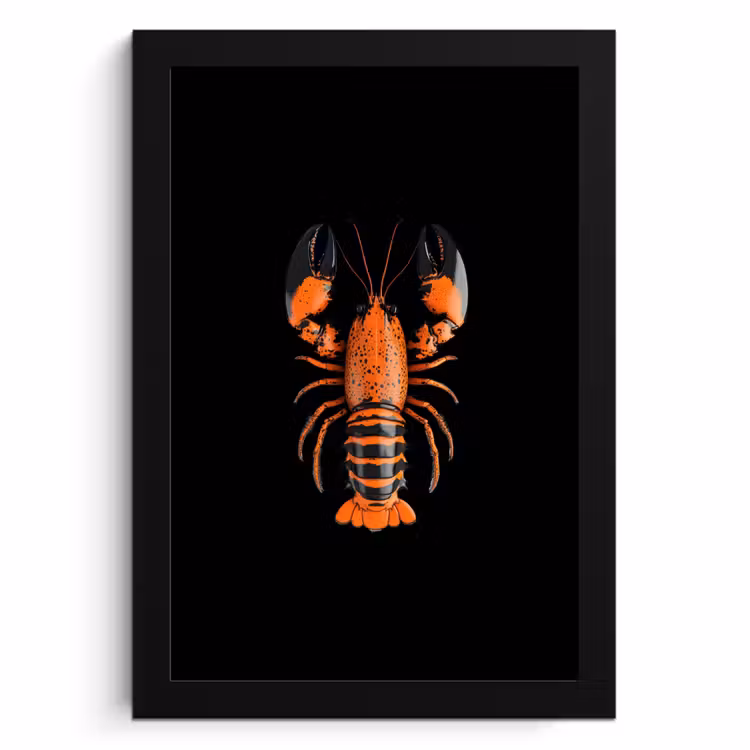 Bilder mit Rahmen - Krebs - Orange - Schwarz - Modern — 1