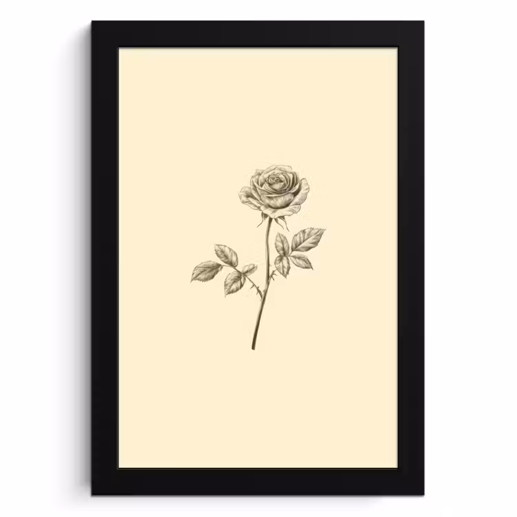 Bilder mit Rahmen - Illustration - Schwarz - Rose — 1