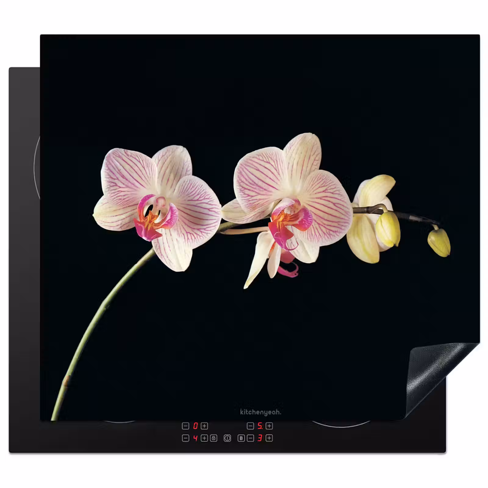 Herdabdeckplatte - Orchidee - Rosa - Blumen — 1