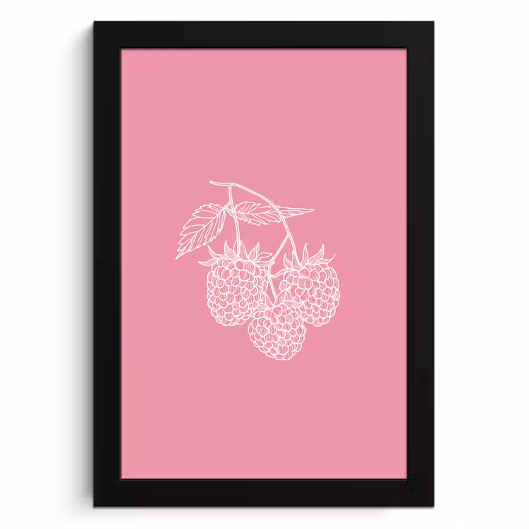 Bilder mit Rahmen - Himbeeren - Stiel - Gezeichnet - Rosa — 1