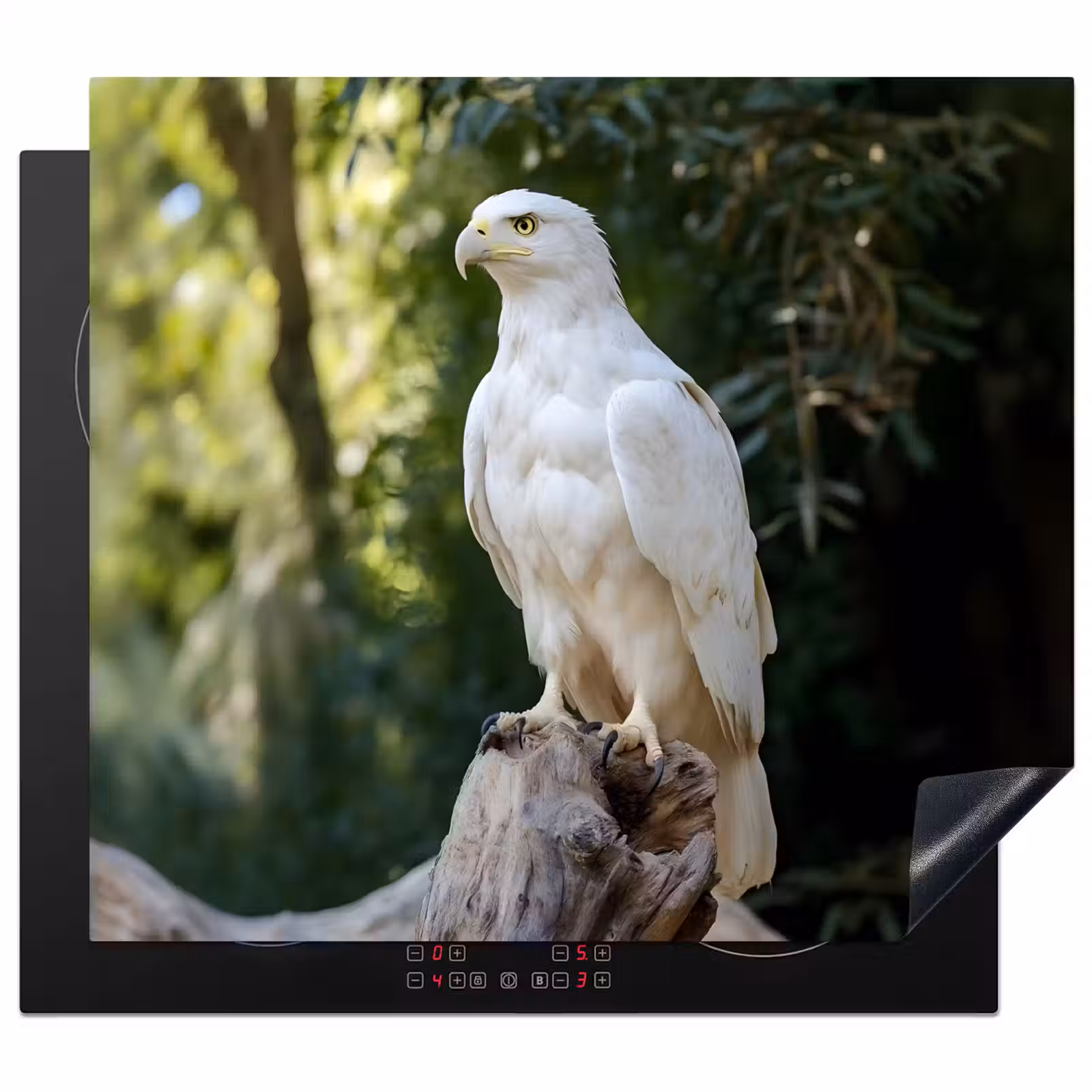 Herdabdeckplatte - Adler - Holz - Weiß - Pflanzen — 1