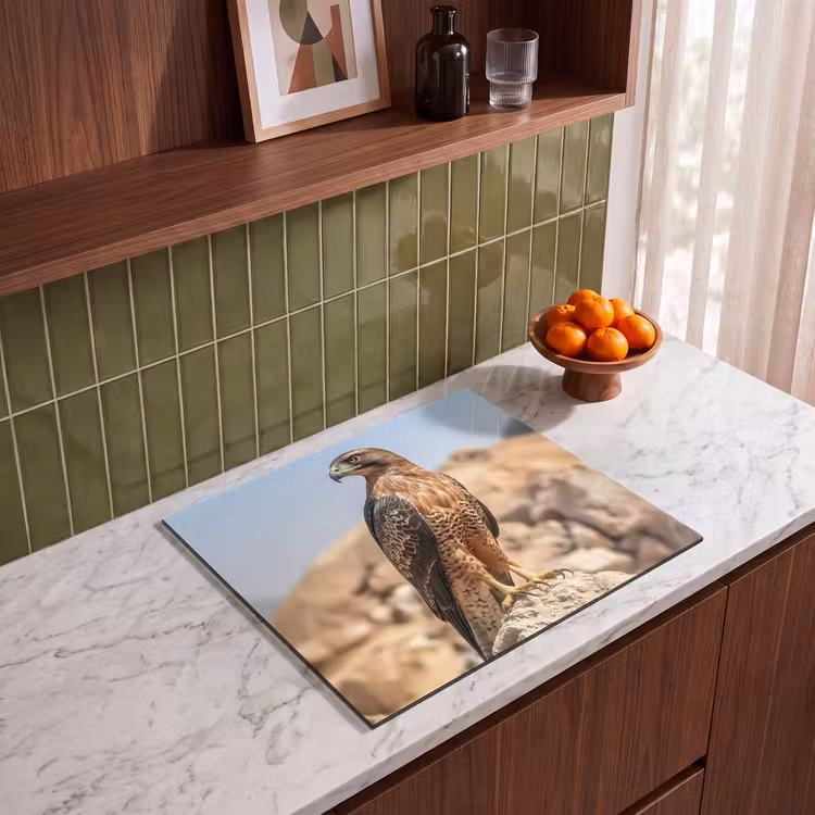 Herdabdeckplatte - Falke - Vogel - Fels - Macht — 4