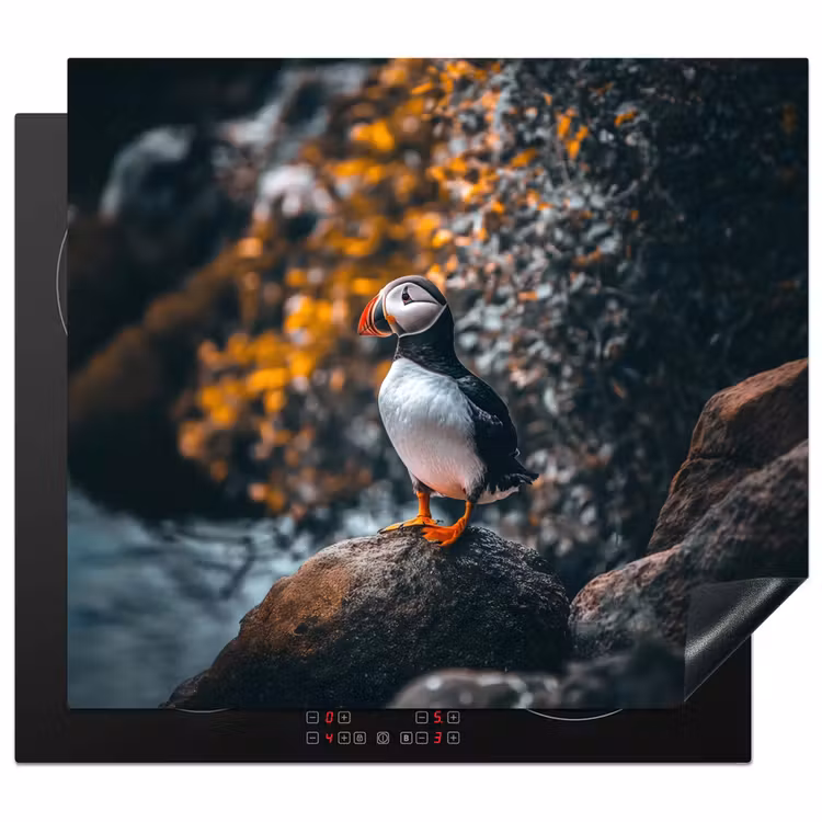 Herdabdeckplatte - Papagei - Vogel - Felsen - Weiß — 1