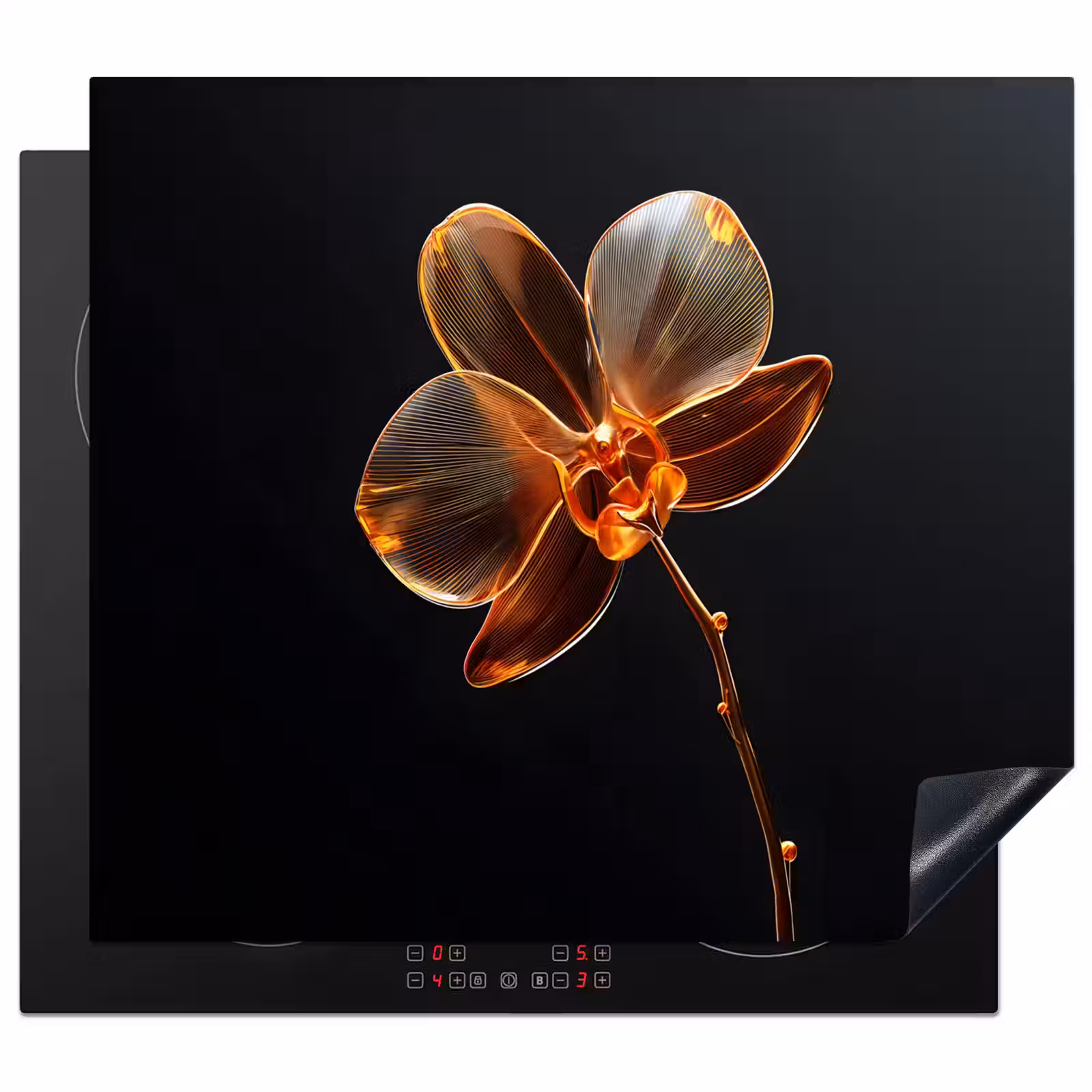 Herdabdeckplatte - Orchidee - Transparent - Blume — 1