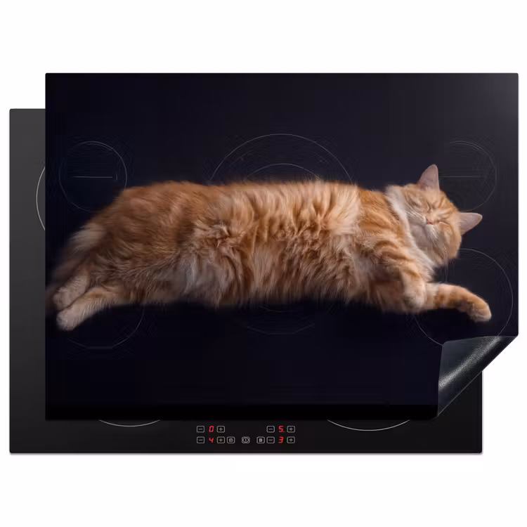Herdabdeckplatte - Induktion - Katze - Entspannen — 1