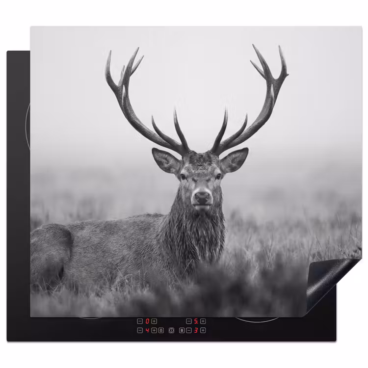 Herdabdeckplatte - Hirsch - Neblig - Schwarz - Weiß — 1