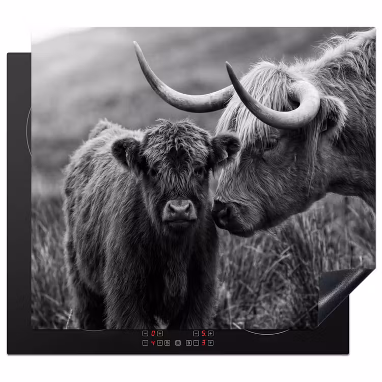Herdabdeckplatte - Schottischer Highlander - Kalb - Schwarz - Weiß — 1