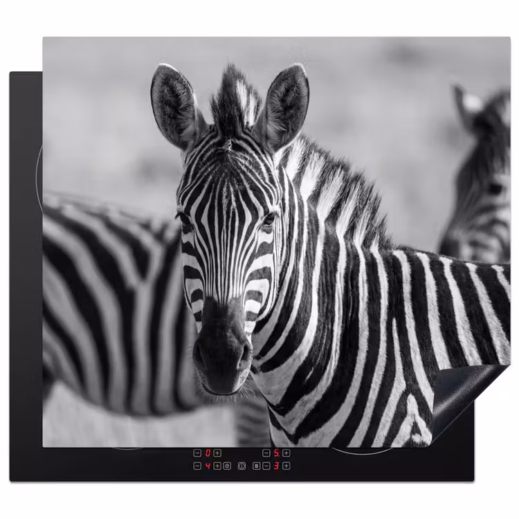 Herdabdeckplatte - Zebras - Schwarz - Weiß — 1