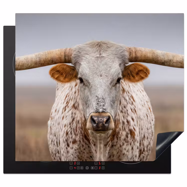 Herdabdeckplatte - Longhorn - Grasfeld - Tier — 1