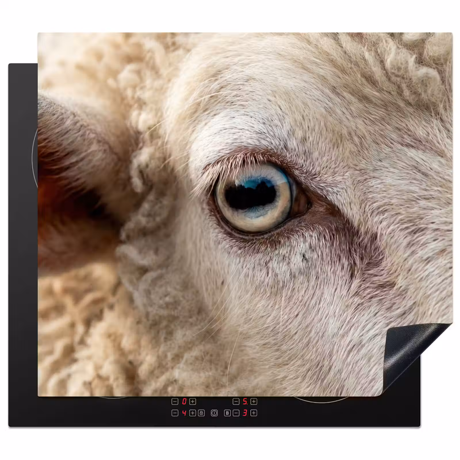 Herdabdeckplatte - Schaf - Auge - Weiß — 1