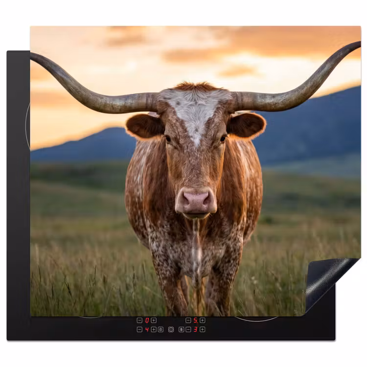 Herdabdeckplatte - Longhorn - Landschaft - Sonnenuntergang — 1