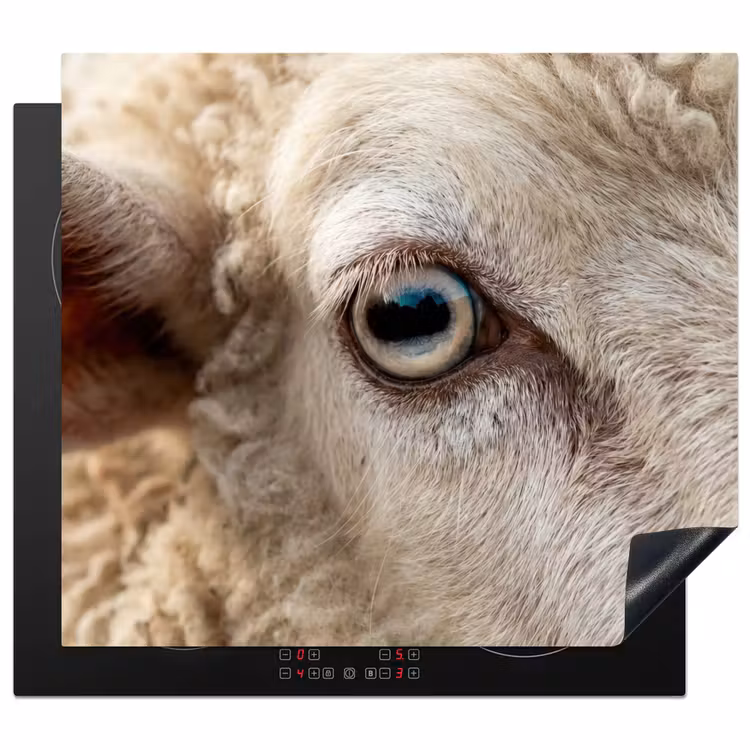 Herdabdeckplatte - Schaf - Auge - Weiß — 1
