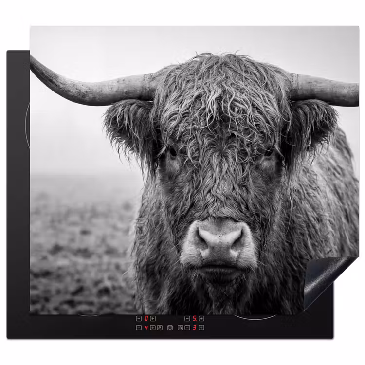 Herdabdeckplatte - Schottischer Highlander - Schwarz - Weiß - Gras — 1