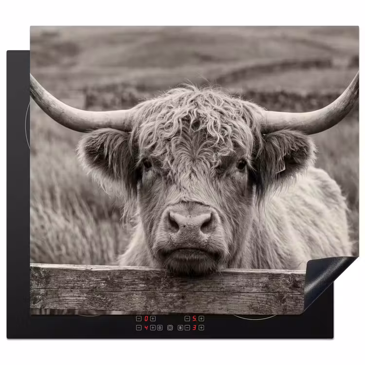 Herdabdeckplatte - Schottischer Highlander - Schwarz - Weiß - Holz — 1