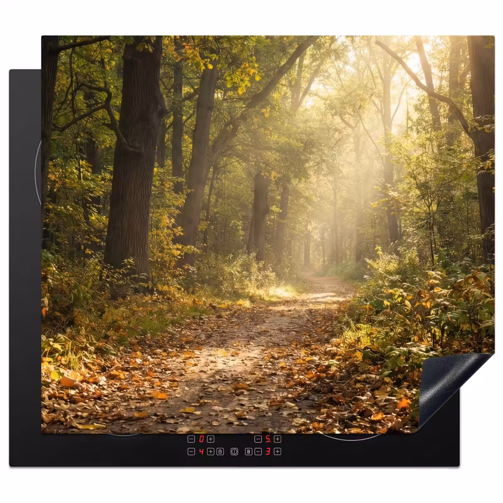 Herdabdeckplatte - Sonnenlicht - Waldweg - Bäume — 1