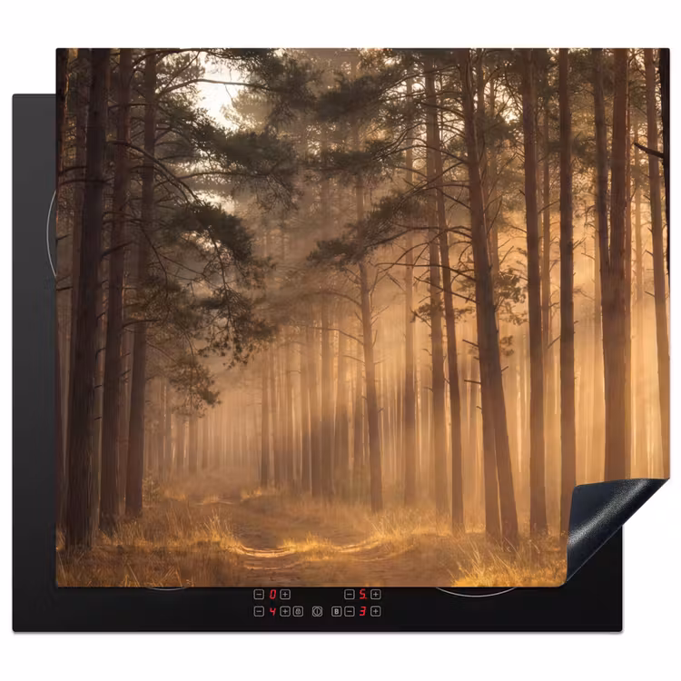Herdabdeckplatte - Wald - Nebel - Sonnenlicht — 1