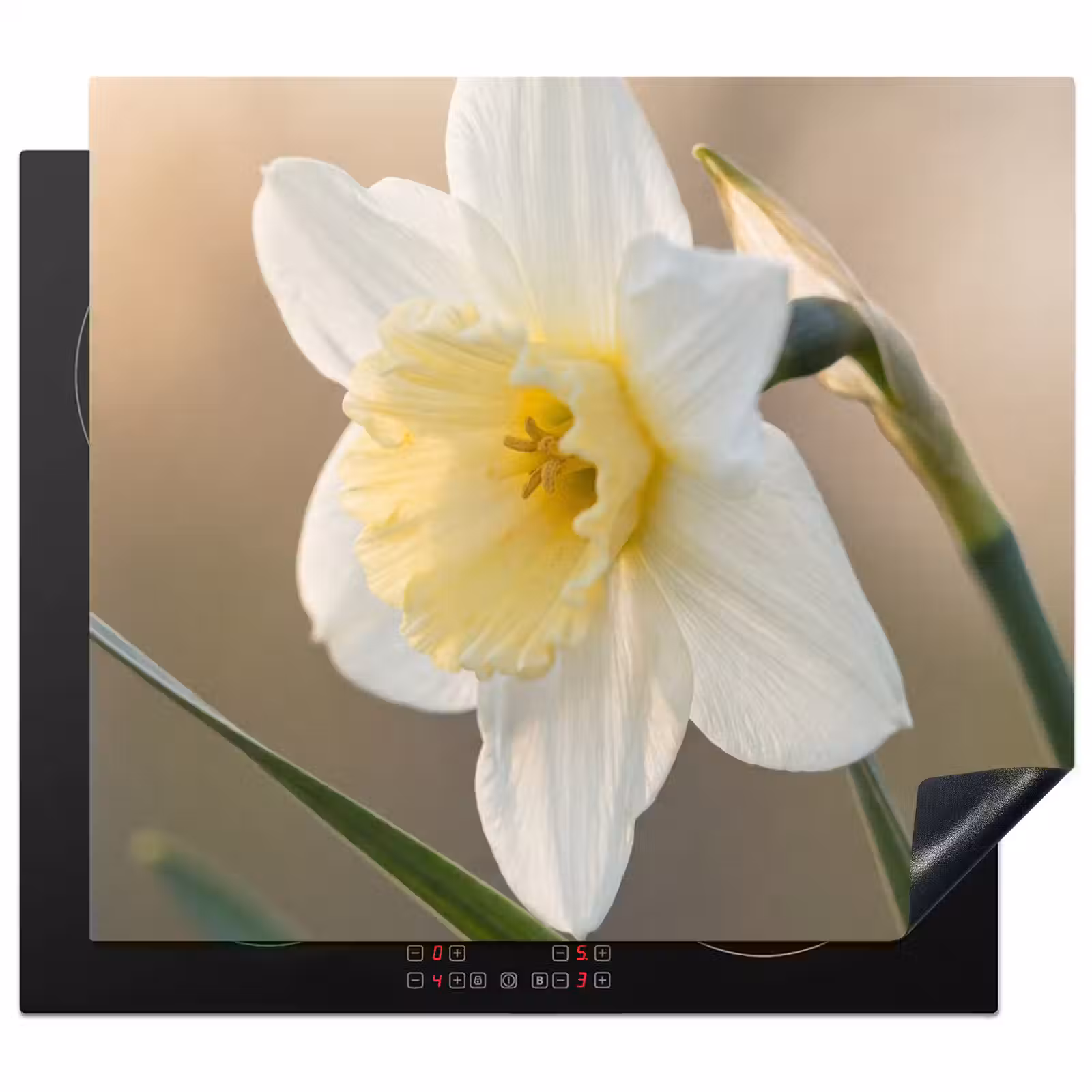 Herdabdeckplatte - Narzisse - Blume - Minimalistisch — 1