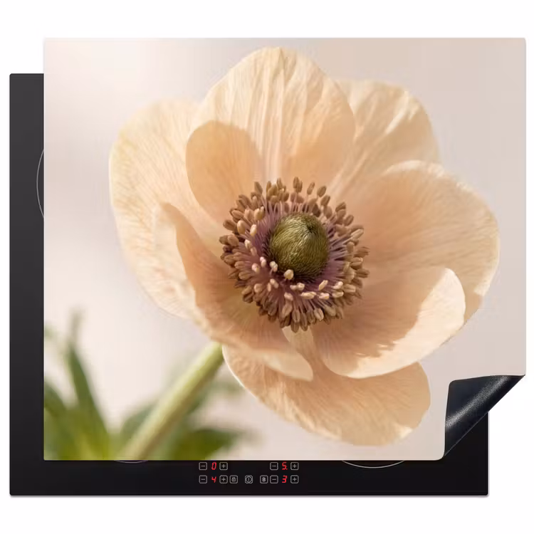 Herdabdeckplatte - Blume - Minimalistisch - Grün — 1