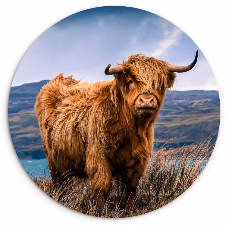 Runde Bilder - Herr der Highlands — 1