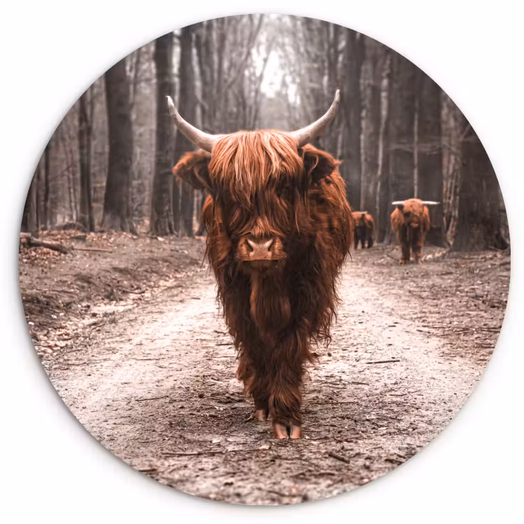 Runde Bilder - Leiter der Tour — 1