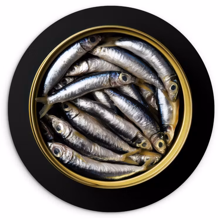 KitchenYeah - Küche - Forex Wandkreis - Sardinen - Fisch - Rund - Schwarz — 1