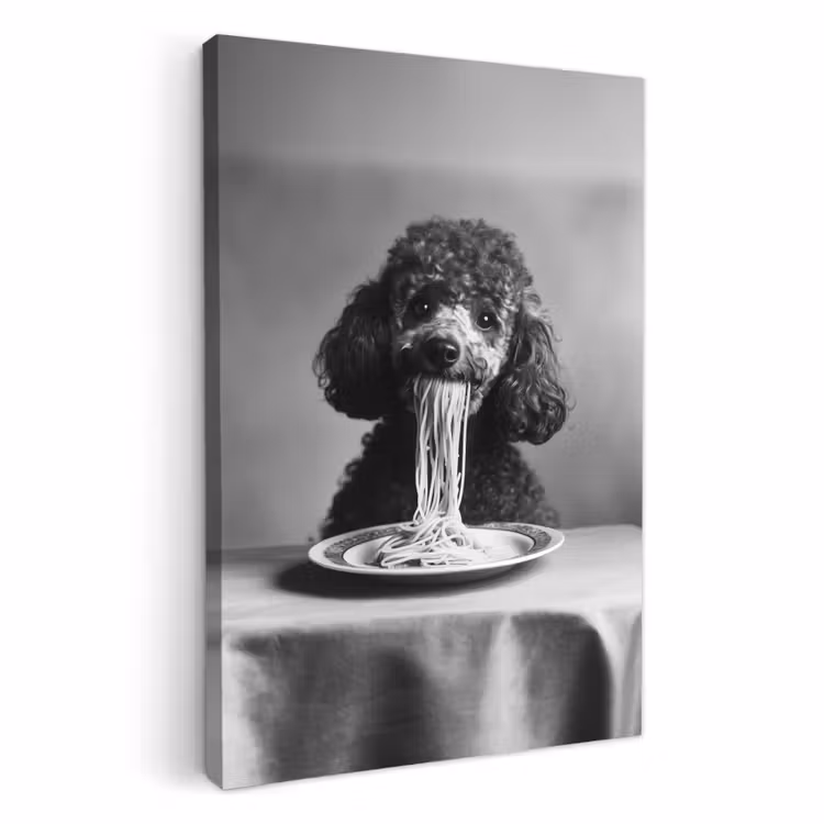 Leinwandbilder - Pudel - Hund - Schwarz - Weiß - Niedlich - Nudeln — 4