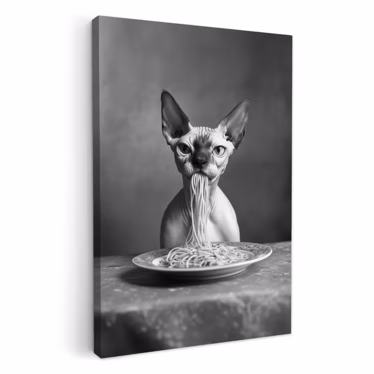Leinwandbilder - Sphynx - Katze - Tiere - Humor - Spaghetti - Schwarz und Weiß — 1
