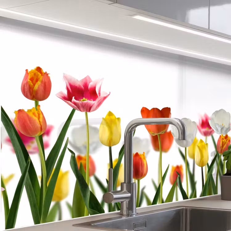 Küchenrückwand - Blumen - Tulpen - Farbenfroh — 1