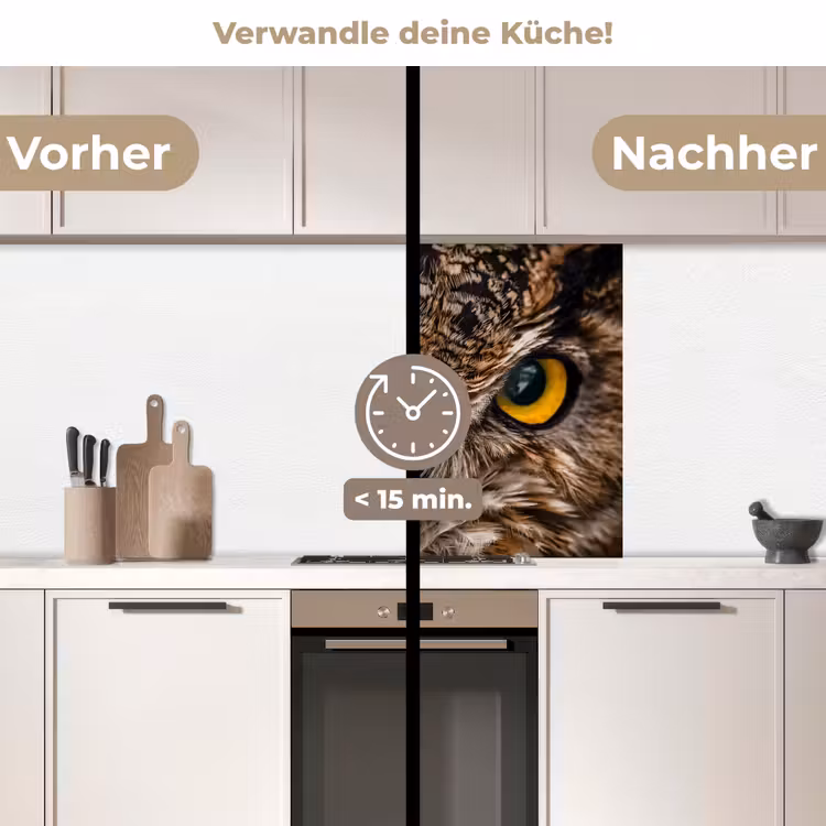 Küchenrückwand - Eule - Tier - Orange — 2