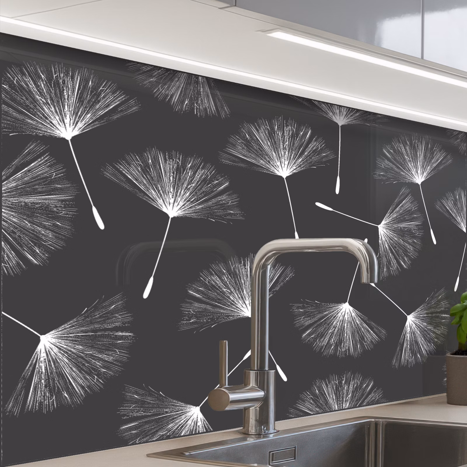 Küchenrückwand - Design - Löwenzahn - Pflanze — 1