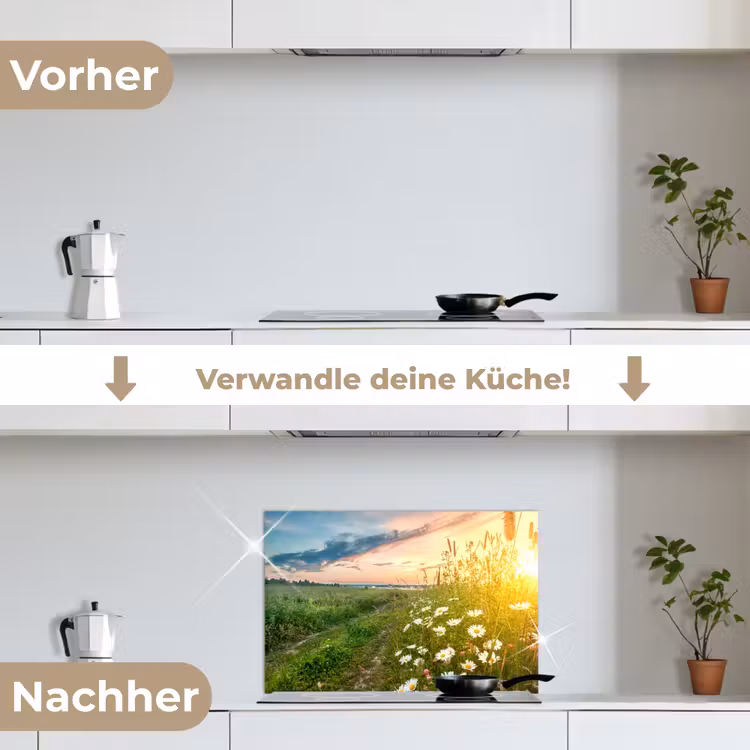 Spritzschutz Küche - Blumen - Gänseblümchen - Natur - Sonne - Horizont — 7