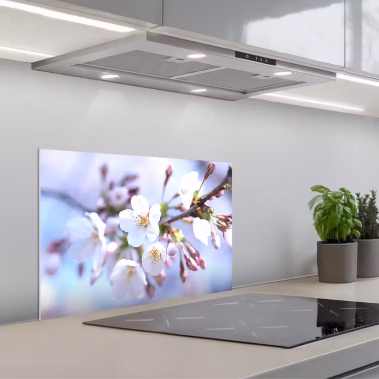 Spritzschutz Küche - Blumen - Sakura - Zweig - Blütendolden — 1