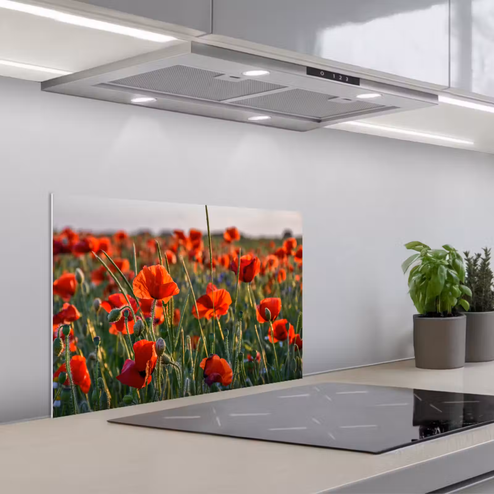 Spritzschutz Küche - Blumen - Mohnblumen - Natur - Rot — 1