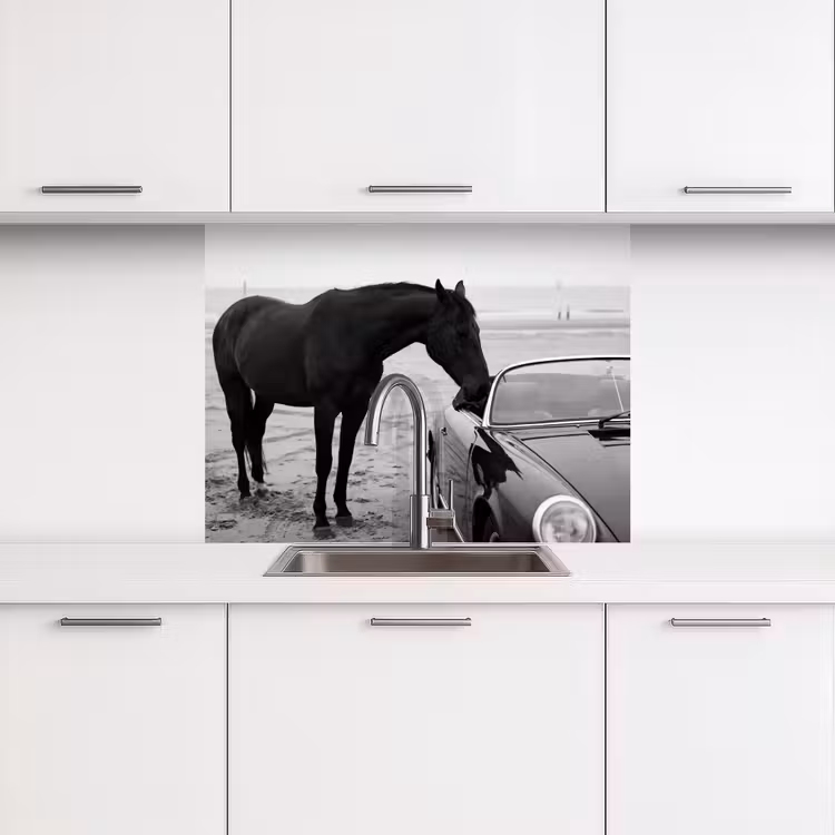 Küchen rückwand - Pferd - Auto - Schwarz - Weiß — 3