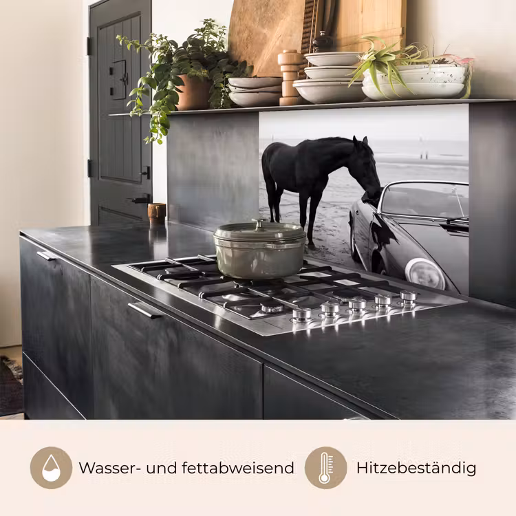 Küchen rückwand - Pferd - Auto - Schwarz - Weiß — 4