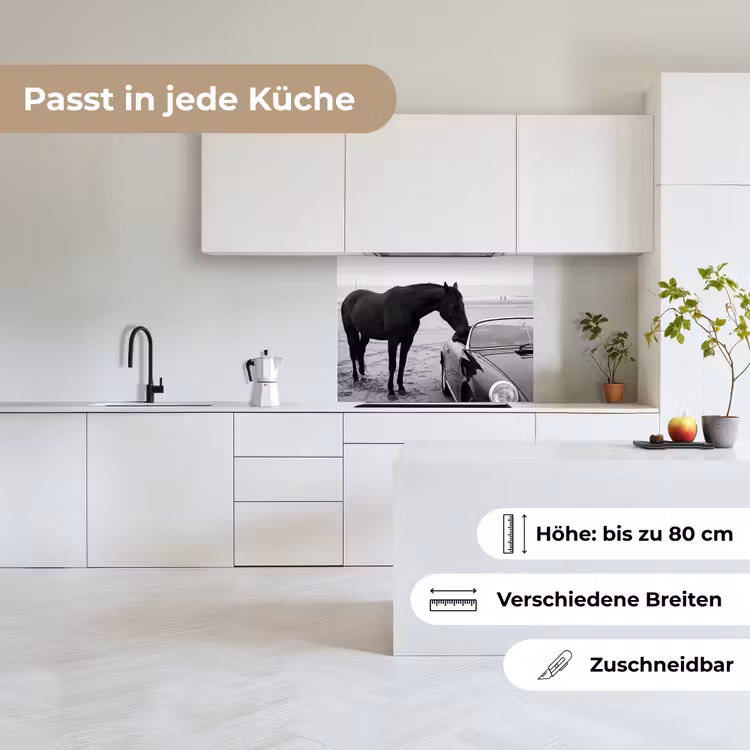 Küchen rückwand - Pferd - Auto - Schwarz - Weiß — 6