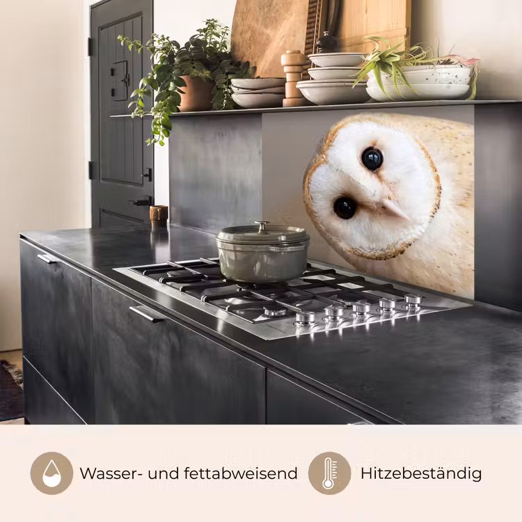 Küchen rückwand - Eule - Braun - Weiß — 4